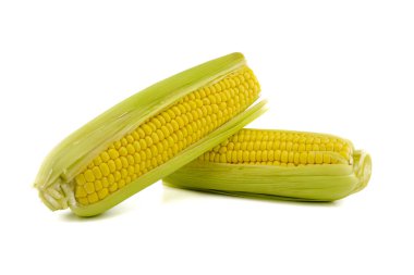 Beyaz arkaplanda izole edilmiş taze mısır koçanı