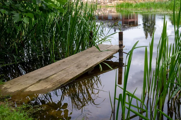 Vieille Jetée Rustique Bois Sur Lac Tranquille Avec Roseaux Herbes — Photo