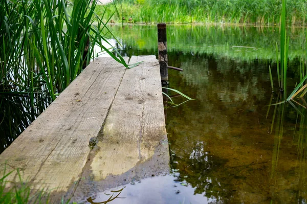 Vieille Jetée Rustique Bois Sur Lac Tranquille Avec Roseaux Herbes — Photo