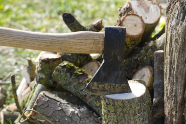 Tahta saplı bir balta ağaç gövdesine gömülüdür. Kesik kütükler ve dallarla çevrilidir. Sahne açık havada çekiliyor..