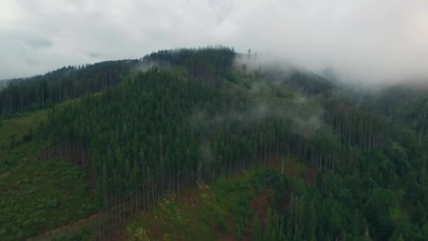 Vue Aérienne. Survoler les hautes montagnes dans de beaux nuages. Caméra aérienne prise. Nuages d'air. Du brouillard. Vapeur . — Video