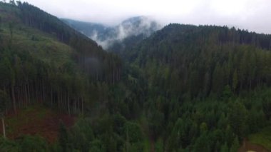Havadan görünümü. Uçan yüksek dağlarda güzel bulutlar üzerinde. Hava kamera çekim. Hava bulutlu. Sis. Buhar.