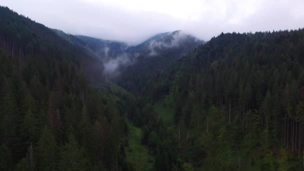 Aerial View. Flying over the high mountains in beautiful clouds . Aerial camera shot. Air clouds. Fog. Steam. — Stock Video