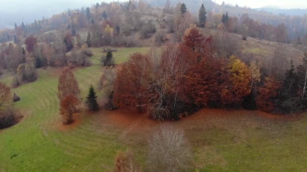 Hava dron görüntüleri İzlenme: Sonbahar dağ ormanları ve alanlar uçuş. Karpat Dağları, Ukrayna, Avrupa. Görkemli manzara. — Stok video
