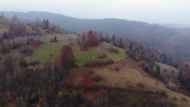 Drone кадри пташиного польоту: Політ над осінній гірських лісах і полях. Карпатських гір, Україна, Європа. Величний пейзаж. — стокове відео