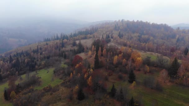 Drone Footage Flygfoto: Flygning över höstens berg med skogar och fält. Karpaterna, Ukraina, Europa. Majestätiska landskap. — Stockvideo