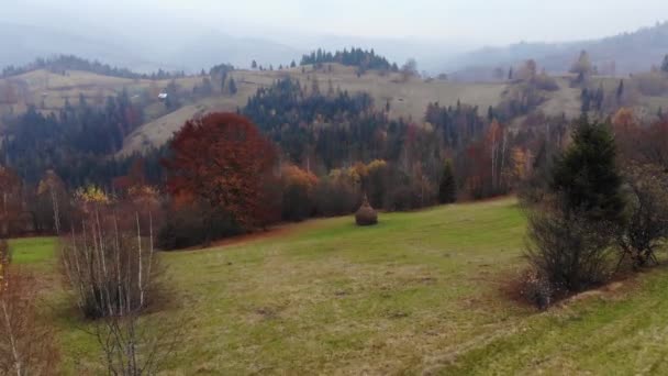 Vue Aérienne Par Drone : Vol autour de Haycock dans les champs de montagne d'automne. Carpates, Ukraine, Europe. Paysage majestueux .