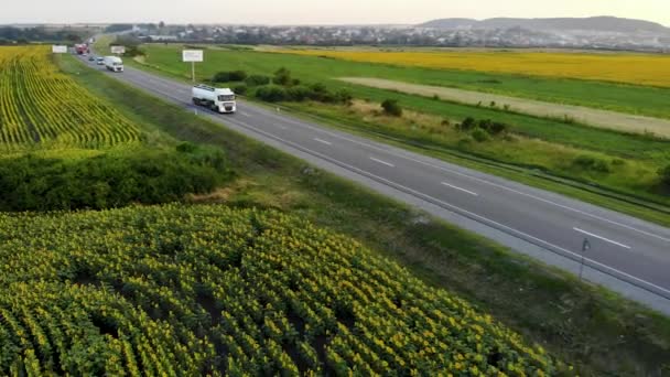 Vista aerea: auto e camion che guidano una strada lungo il campo di girasoli sul tramonto ora esatta . — Video Stock