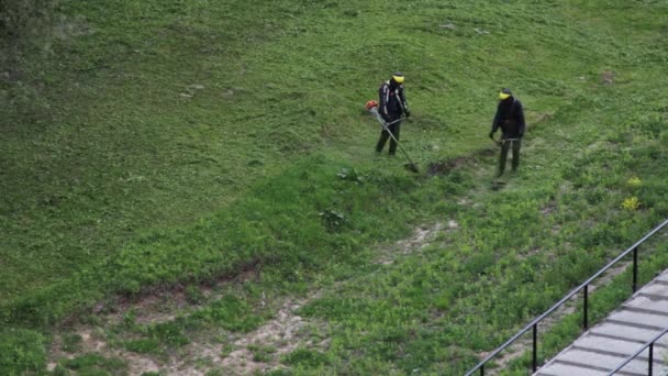 Двоє чоловіків змелюють траву з молоточками. — стокове відео
