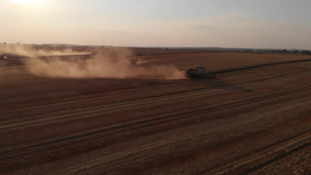 Strzał z powietrza: latać wzdłuż łączy harwesting na suset — Wideo stockowe