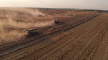 Havadan çekim: etrafta uçmak, yaz günbatımını hasat etmek demek.