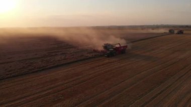 Havadan çekim: hasat edilen sütü traktör uçlarına dökerek birleştirin