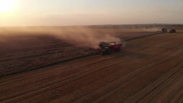 Воздушный выстрел: Комбинат заливки собранного урожая в тракторный самосвал — стоковое видео