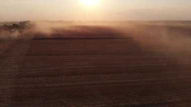 Yaz günbatımında tarladan buğday topluyorum. Hava aracı görüntüsü. 4K