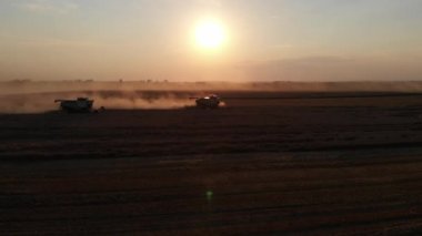 Yaz günbatımında tarlalardan hasat edin. Birçok hasat buğdayı birleştirir. Hava aracı görünümü.