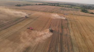 Yaz günbatımında tarlalardan hasat edin. Birçok hasat buğdayı birleştirir. Hava aracı görünümü.