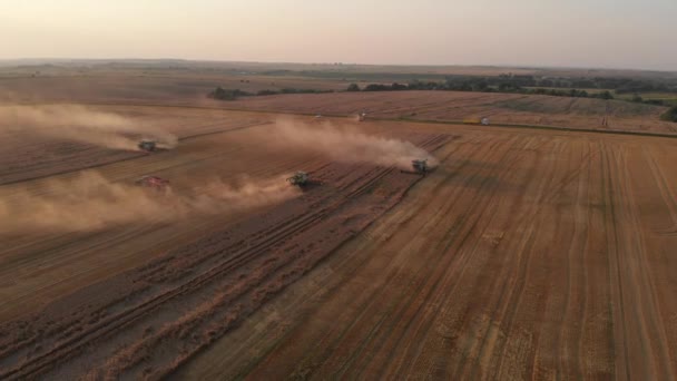 Sklizeň během letního západu slunce z polí. Mnoho z nich kombinuje sklizeň pšenice. Zobrazení leteckých dronů. — Stock video