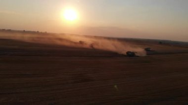 Yaz günbatımında tarlalardan hasat edin. Birçok hasat buğdayı birleştirir. Hava aracı görünümü.
