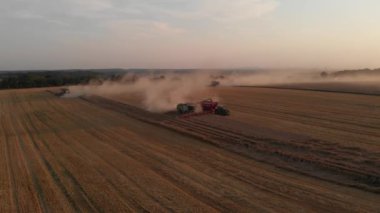 Hava aracı görüntüsü: hasat buğdayını birleştirin hasat edilen buğdayı traktör uçlarına dökün.