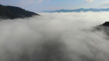 Nehrin yukarısındaki dağların arasındaki inanılmaz yoğun sisin insansız hava aracı görüntüsü. Sabah yaz zamanı. Güneşli bir hava. 4K