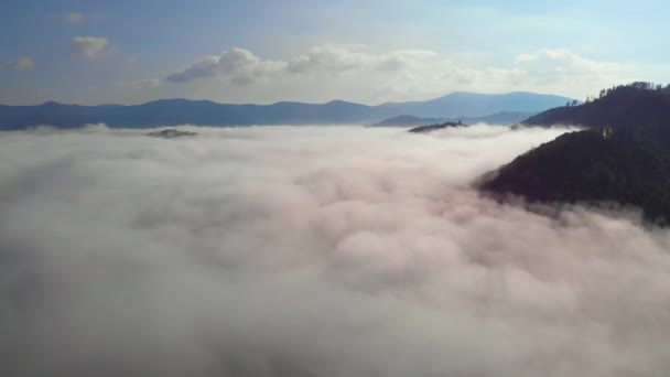 山の間の川の上に驚くほど密な霧の空中ドローンショット 夏時間の朝 天気は晴れ — ストック動画