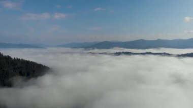 Nehrin yukarısındaki dağların arasındaki inanılmaz yoğun sisin insansız hava aracı görüntüsü. Sabah yaz zamanı. Güneşli bir hava. 4K