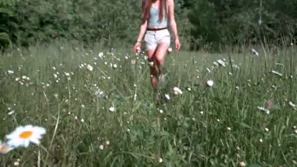 Una hermosa chica de color marrón claro camina a través de un prado floreciente, se agacha y recoge margaritas en una mirada armada a la cámara y sonríe — Vídeos de Stock