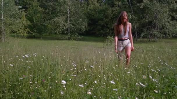 Una hermosa chica de color marrón claro camina a través de un prado floreciente — Vídeos de Stock