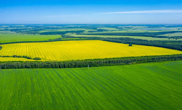 Foto Aerea Campi Multicolori Colza Gialla Lino Blu Grano Verde — Foto Stock