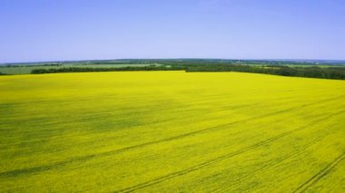 Gökyüzü videosu, renkli tarım alanlarında yüksek irtifada kolza tohumu uçuran bir kuadkopter..