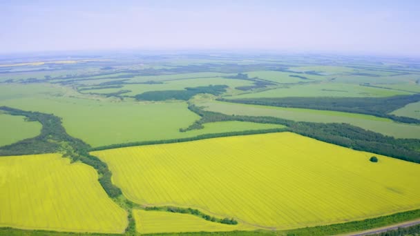 Vídeo Aéreo Panorama Campos Agrícolas Multicoloridos Florestas Aldeias Alta Altitude — Vídeo de Stock