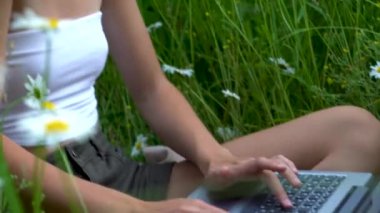 Genç ve güzel bir iş kadını internette dizüstü bilgisayarla çalışıyor. Çiçek açan papatyaların arasında çayırda oturuyor ve akıllı bir telefonla konuşuyor..