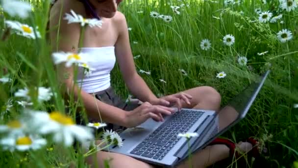 Krásná Mladá Podnikatelka Pracuje Internetu Notebooku Sedí Louce Mezi Kvetoucími — Stock video