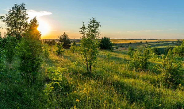 Paysage Coucher Soleil Sur Une Prairie Ravin Envahi Par Les — Photo