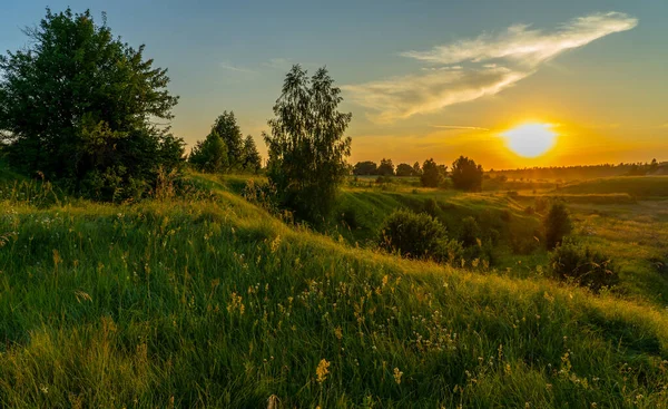 landscape, sunset over a meadow, ravine overgrown with flowers and herbs, hot summer evening