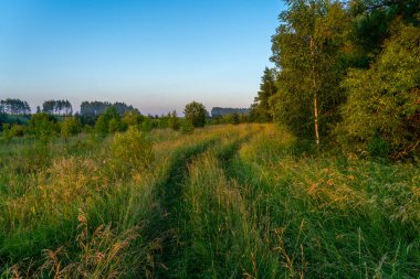 Bir yaz akşamında gün batımında çimlerle kaplı toprak bir yol..