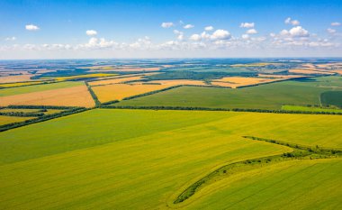 alan geometrisi, bir cetvel üzerine çizilmiş gibi çok renkli alanların üst görünümü