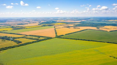 alan geometrisi, bir cetvel üzerine çizilmiş gibi çok renkli alanların üst görünümü