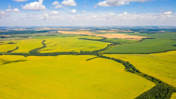 Vue de dessus des champs infinis de tournesol, photo virial — Photo