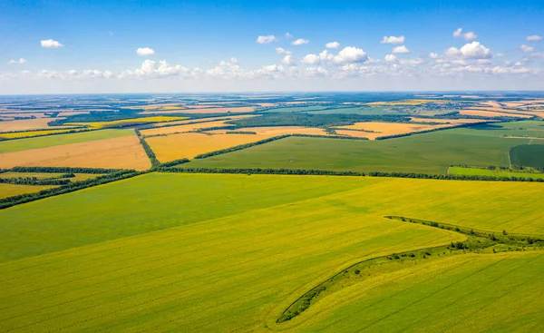 alan geometrisi, bir cetvel üzerine çizilmiş gibi çok renkli alanların üst görünümü