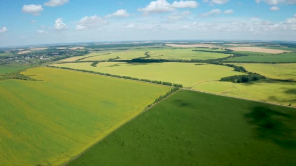 Vídeo aéreo, voo de drone sobre os campos de girassol florescendo — Vídeo de Stock