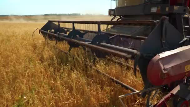 moissonneuse-batteuse gros plan, coupant les épis d'orge dans un champ d'orge