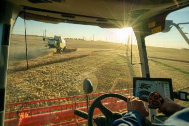Gün batımında bir arpa tarlasında tahıl hasat etmek modern bir hasat makinesinin dümeninde hasat biçmek tahıl biçmek batan güneş gözlerinizi kör eder.
