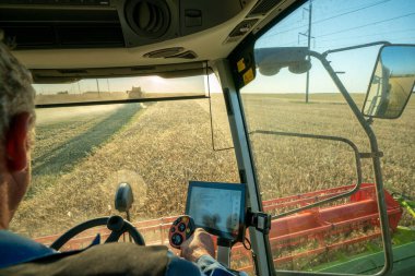 Gün batımında bir arpa tarlasında tahıl hasat etmek modern bir hasat makinesinin dümeninde hasat biçmek tahıl biçmek batan güneş gözlerinizi kör eder.