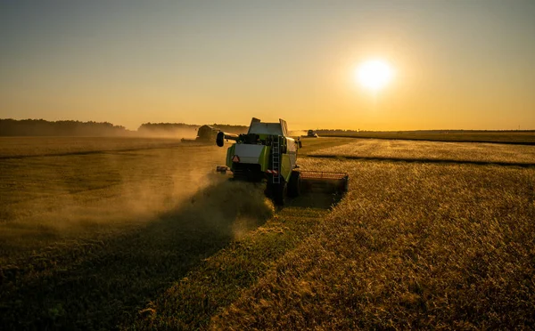 Récolte Grain Dans Champ Orge Coucher Soleil Les Moissonneuses Récoltent — Photo