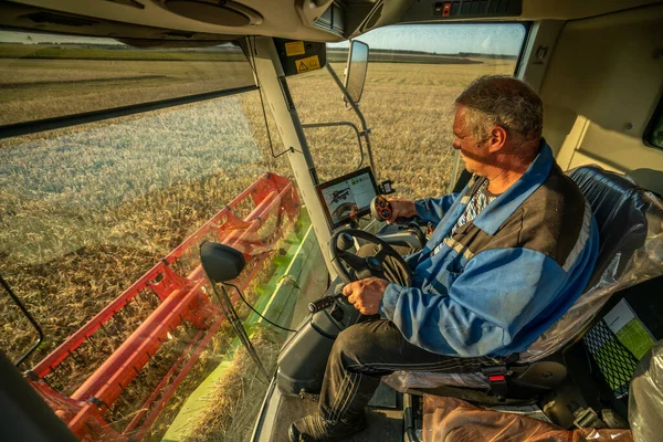 Gün batımında bir arpa tarlasında tahıl hasat etmek, modern bir hasatçının dümenindeki bir hasat biçme makinesi buğday biçer.