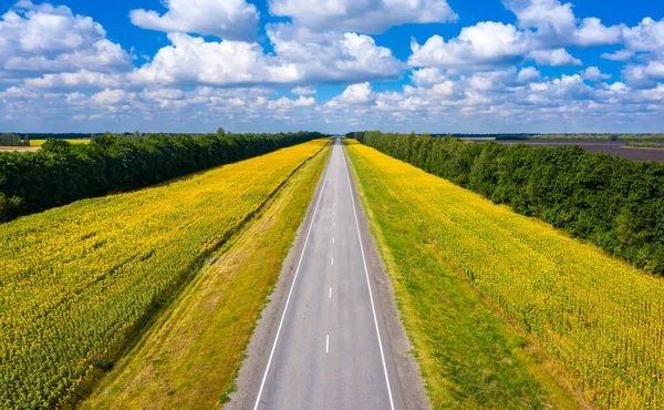 Photographie aérienne d'une route droite qui traverse l'horizon — Photo