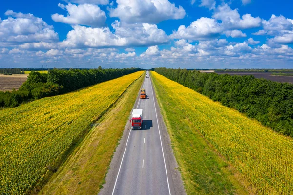 Arabaların ufuktan geçtiği düz bir yol.