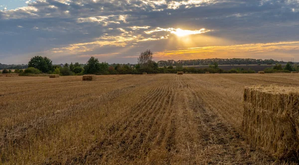 Landscape, beautiful sunset over a mown field of grain — Stock Photo, Image