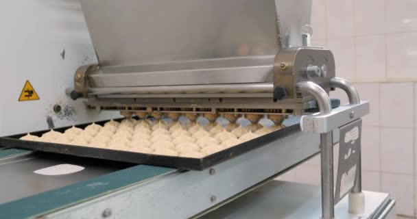 Processen för deponering av marshmallows eller profiteroler på jiggmaskinen — Stockvideo
